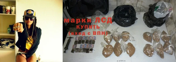 шишки Арсеньев