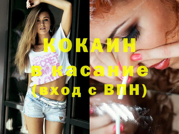 шишки Арсеньев
