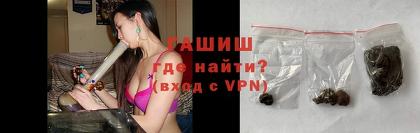 шишки Арсеньев