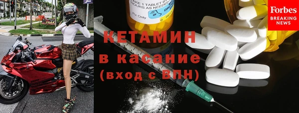 шишки Арсеньев