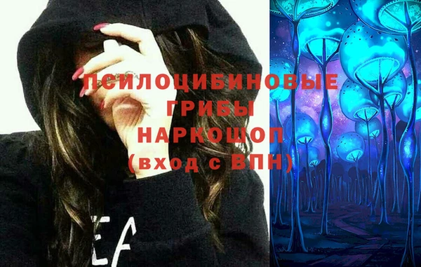 гашик Аркадак