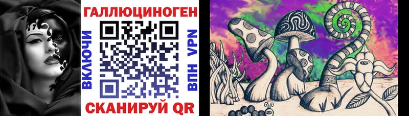 Галлюциногенные грибы Psilocybe купить наркотик Сосенский